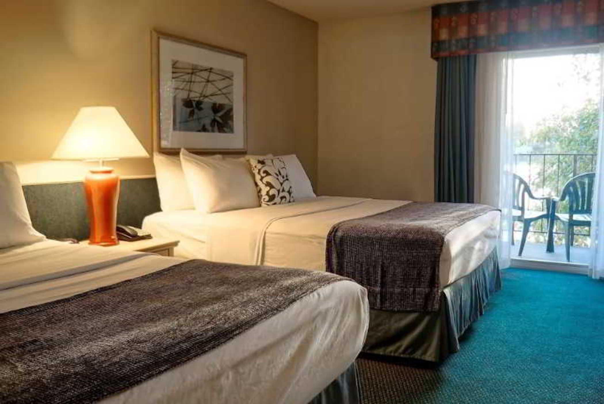 Executive Inn & Suites Окленд Екстер'єр фото