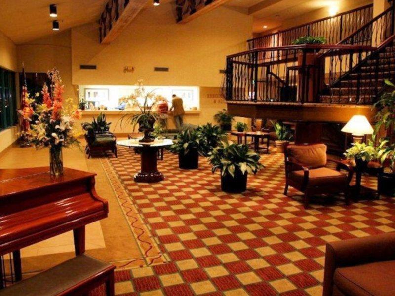 Executive Inn & Suites Окленд Екстер'єр фото